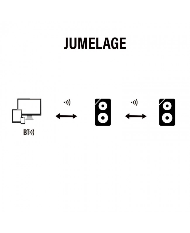 Definitive Audio KOALA 12A BT