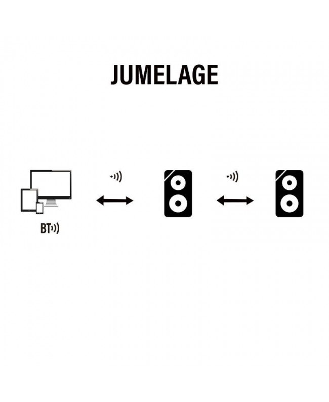 Definitive Audio KOALA 15A BT