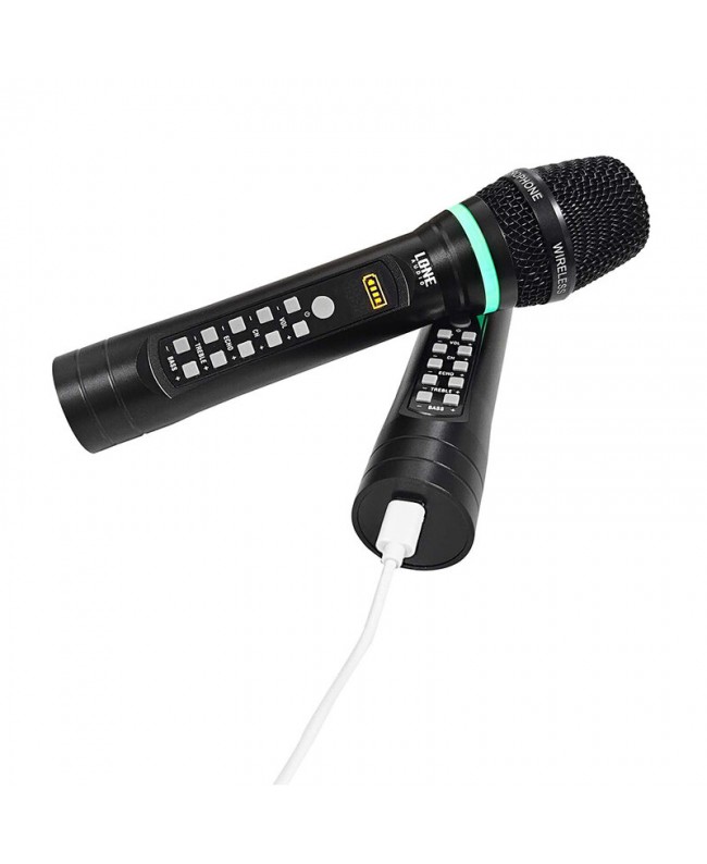 LONE AUDIO LA-MICDUO