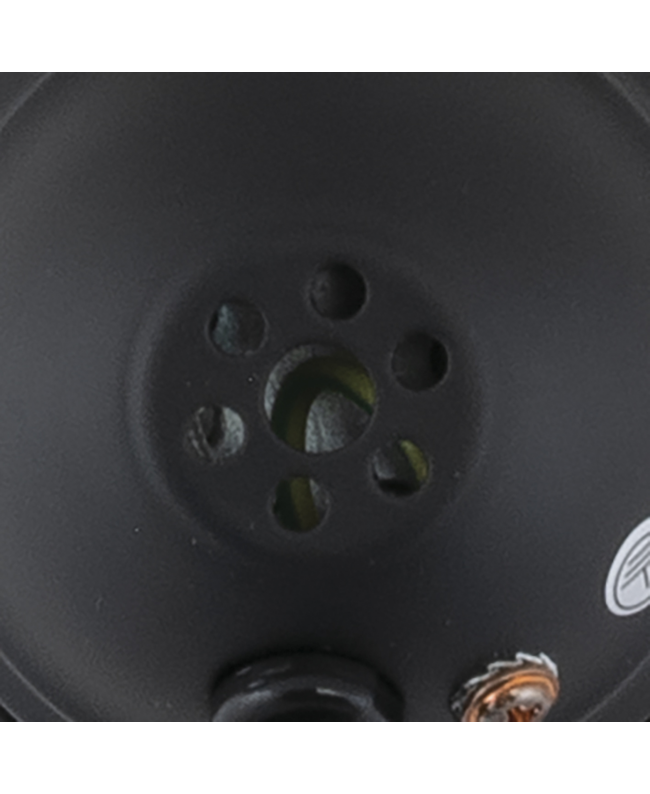 SHOWTEC Parcan 16 Schwarz