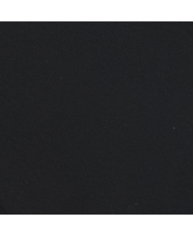 SHOWTEC Parcan 16 Black