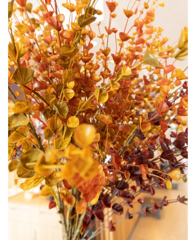 Europalms Eucalyptus spray, artificial, orange, 110cm Fiori & piante