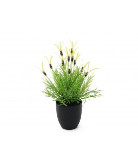 Europalms Feather lettuce, artificial, 40cm Fiori & piante