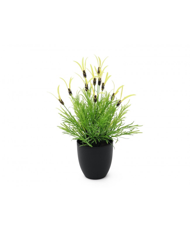 Europalms Feather lettuce, artificial, 40cm Flowers & Plants