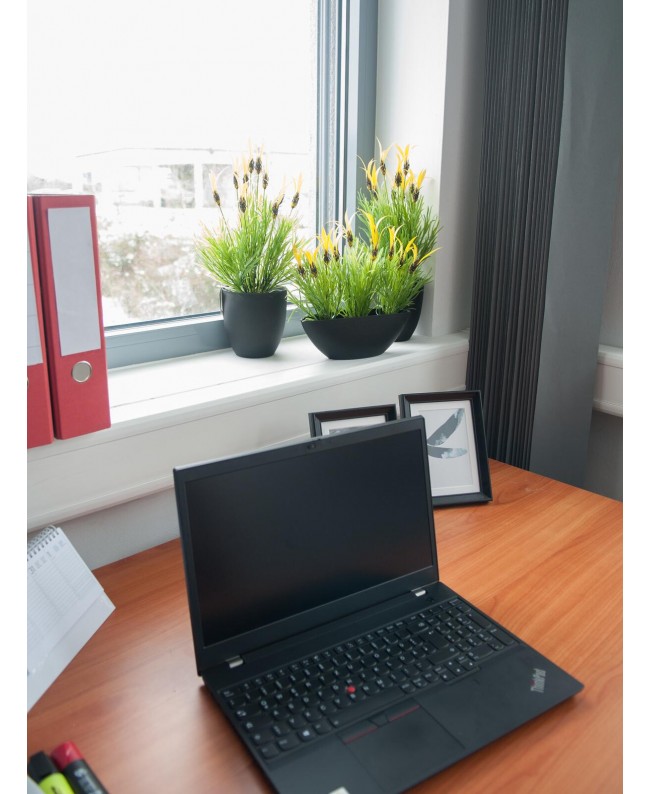 Europalms Feather lettuce, artificial, 40cm Fiori & piante