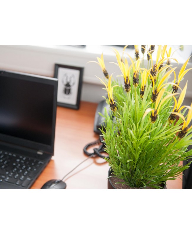 Europalms Feather lettuce, artificial, 40cm Flowers & Plants