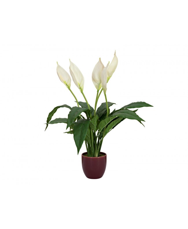 Europalms Lily Peace, artificial plant, 49cm Fiori & piante