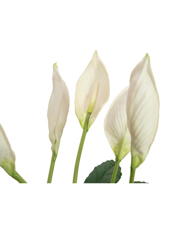 Europalms Lily Peace, artificial plant, 49cm Fiori & piante