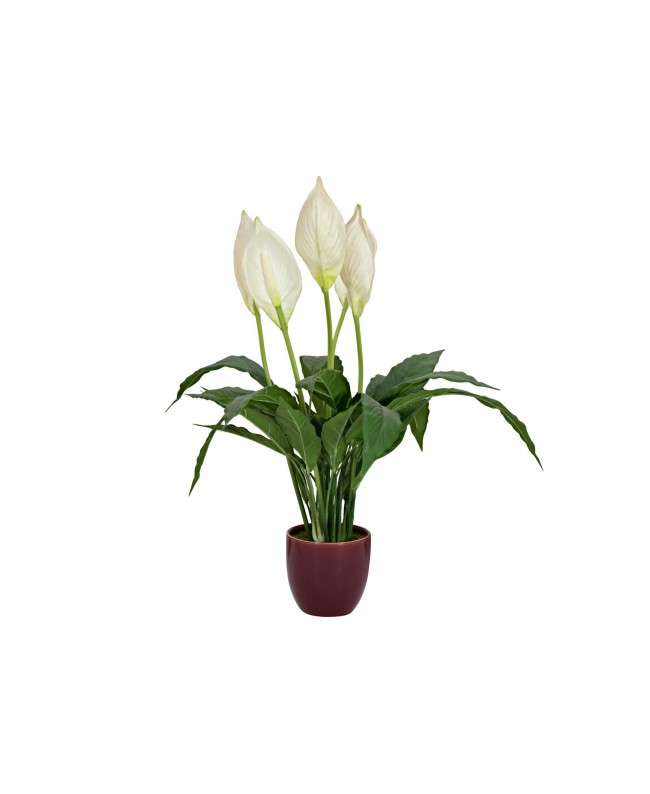 Europalms Lily Peace, artificial plant, 49cm Flowers & Plants