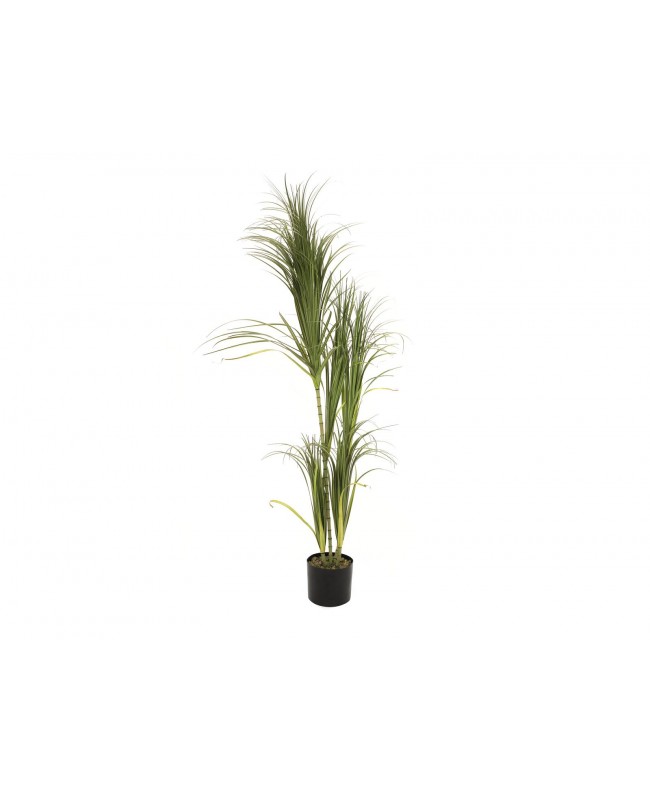 Europalms Dracena bush, artificial, 215cm Flowers & Plants