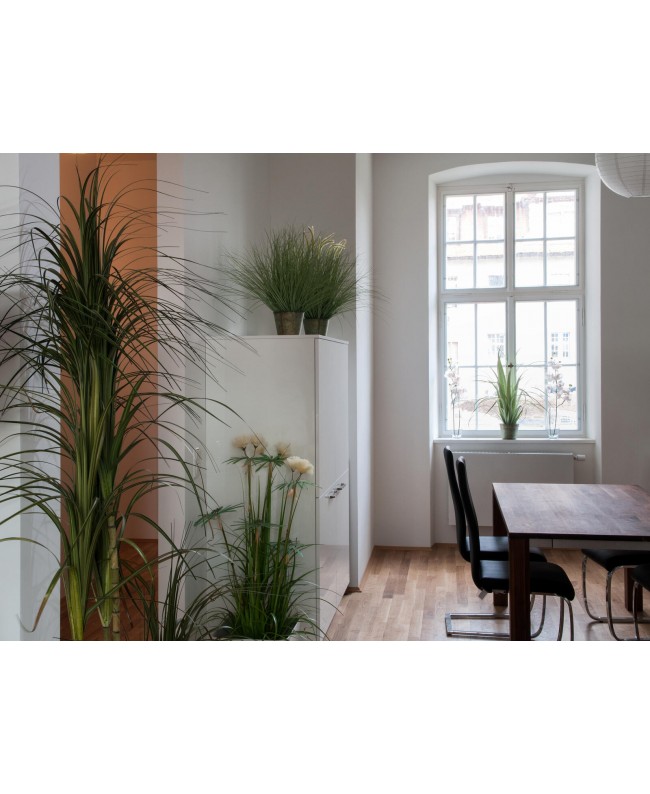 Europalms Dracenabusch, künstlich, 215cm Blumen & Pflanzen