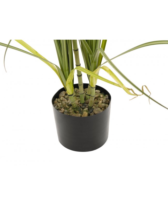 Europalms Dracena bush, artificial, 215cm Flowers & Plants