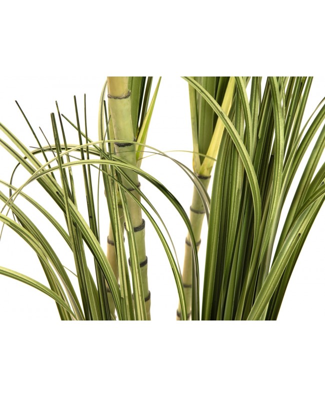 Europalms Dracenabusch, künstlich, 215cm Blumen & Pflanzen