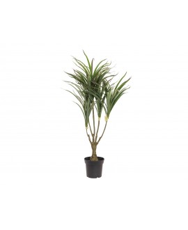 Europalms Dracena, künstlich, grün-rot, 90cm Blumen & Pflanzen