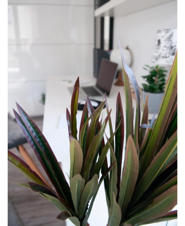 Europalms Dracena, artificial, 120cm Flowers & Plants