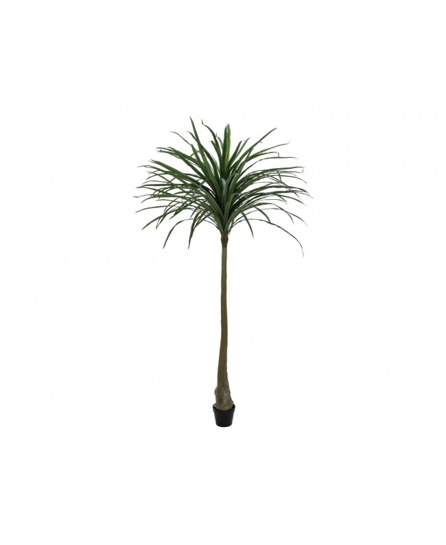 Europalms Dracena, künstlich, grün, 220cm Blumen & Pflanzen