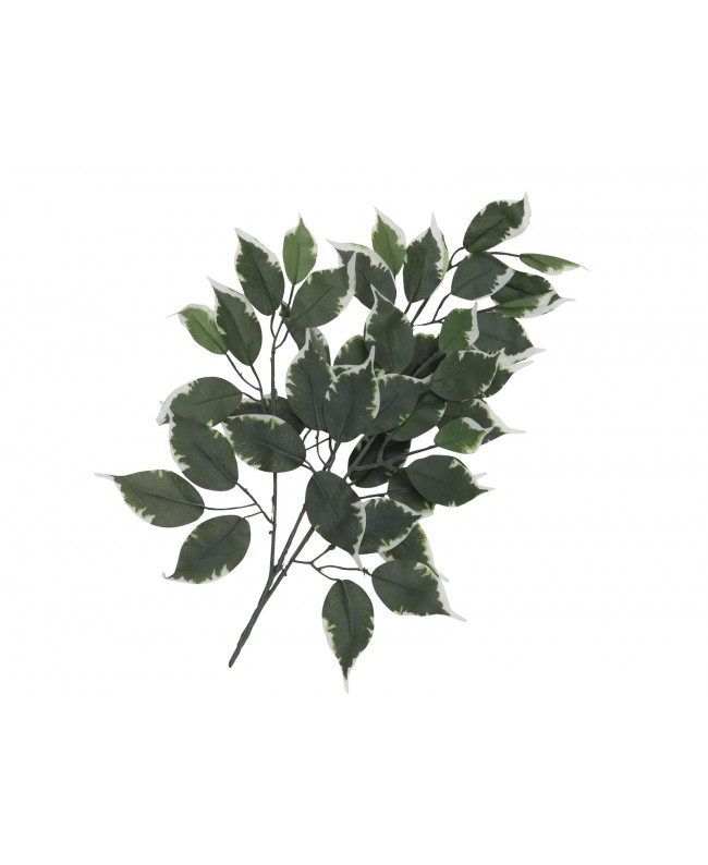 Europalms Ficus spray, artificial, 12x Flowers & Plants