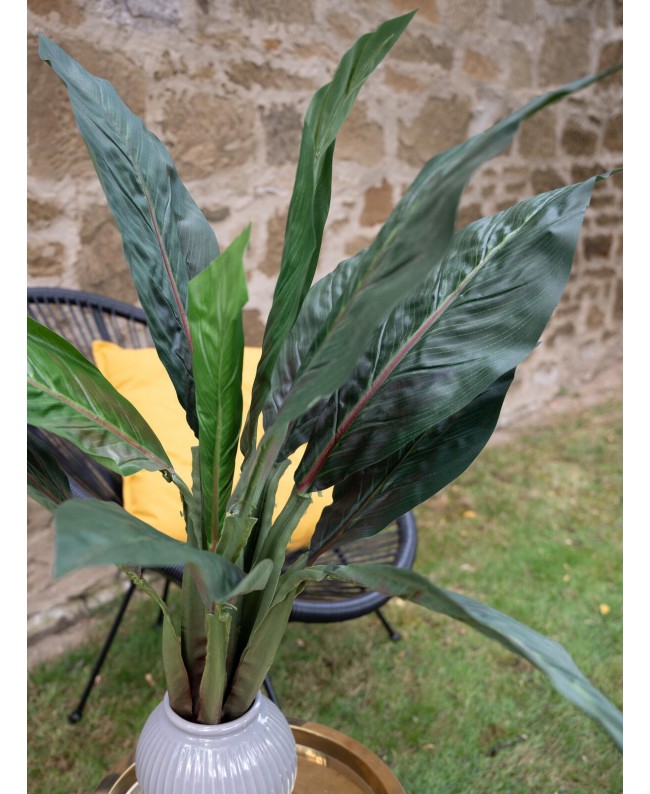 Europalms Mangoldbusch, künstlich, 45cm Blumen & Pflanzen