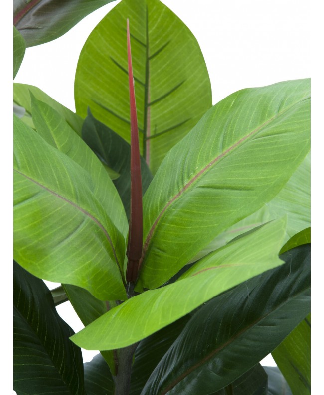 Europalms Rubber tree, artificial plant, 100cm Flowers & Plants