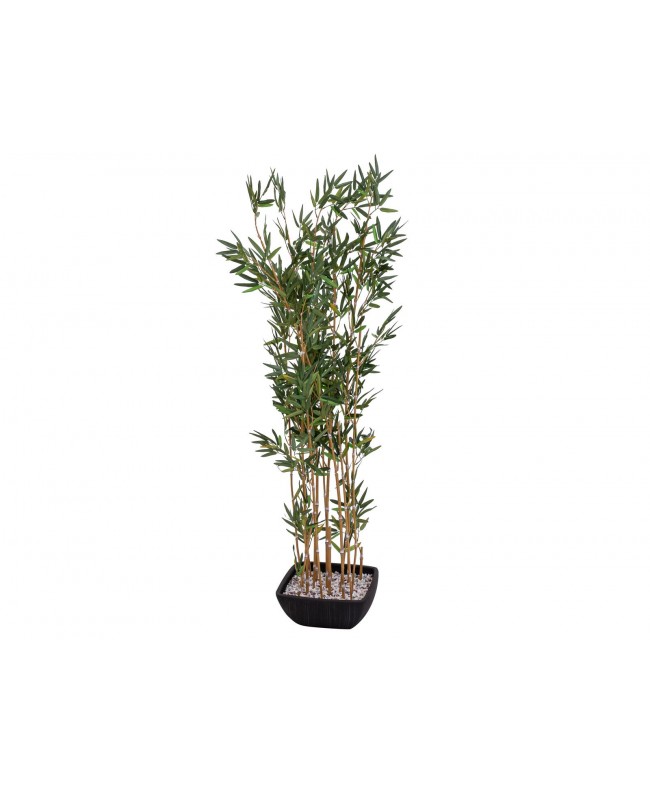 Europalms Zierbambus in Dekoschale, künstlich, 150cm Blumen & Pflanzen