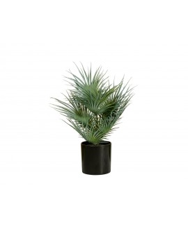 Europalms Fan Palm, artificial plant, 55cm Flowers & Plants