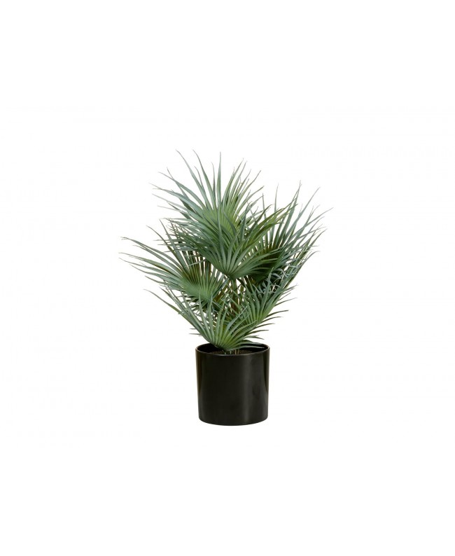 Europalms Fan Palm, artificial plant, 55cm Flowers & Plants