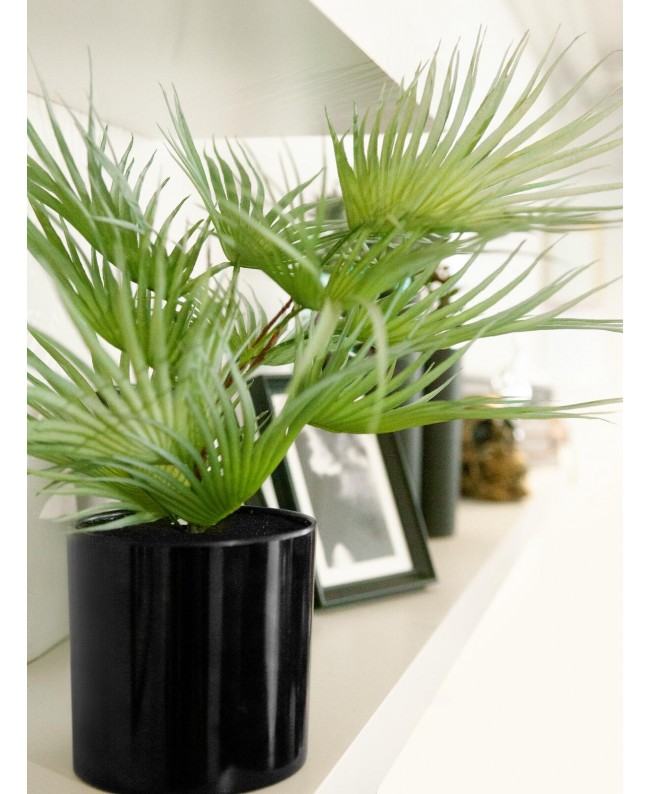 Europalms Fan Palm, artificial plant, 55cm Flowers & Plants