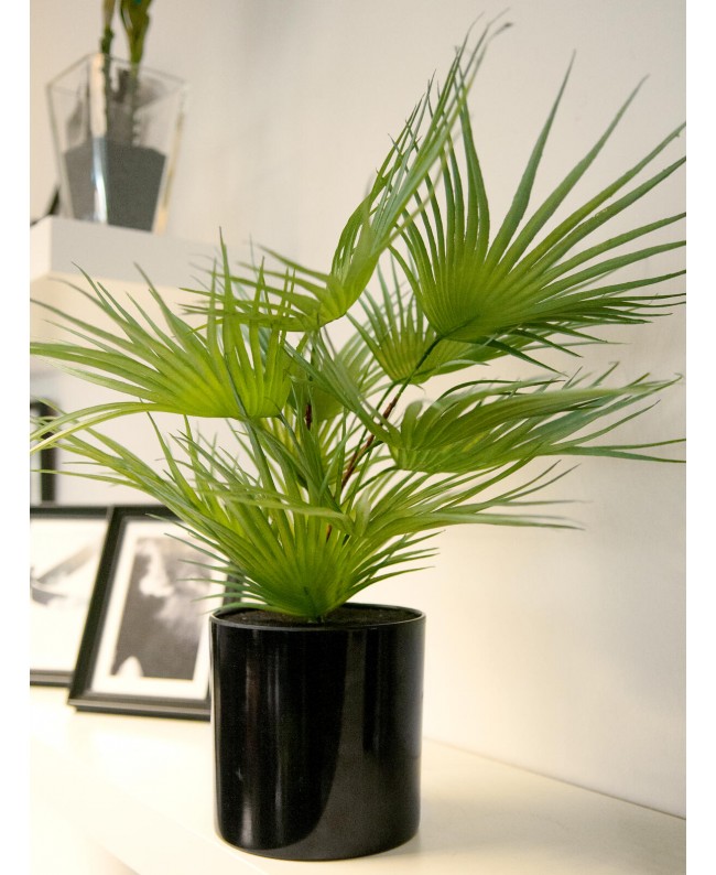 Europalms Fan Palm, artificial plant, 55cm Fiori & piante
