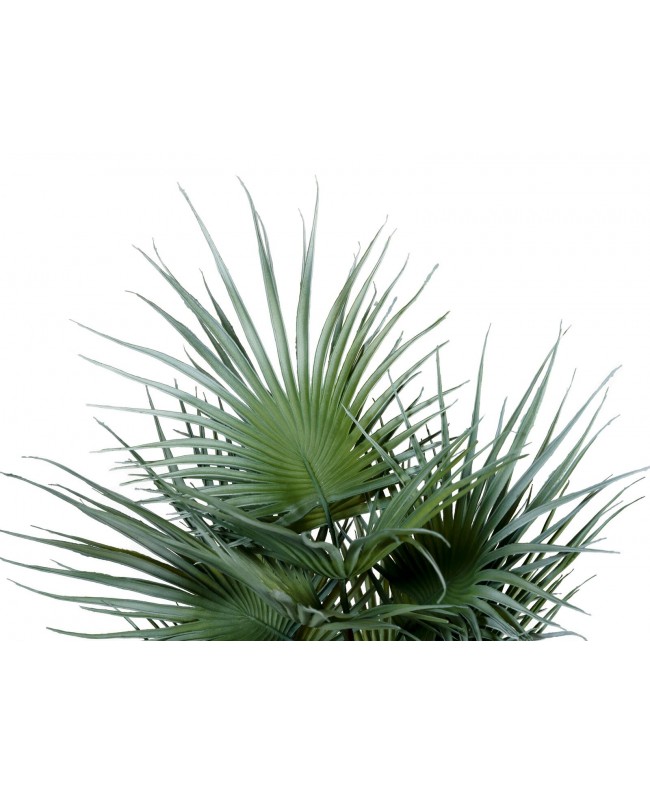 Europalms Fan Palm, artificial plant, 55cm Fiori & piante