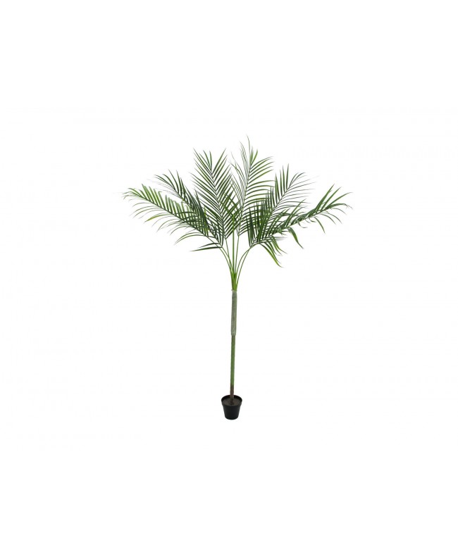Europalms Areca deluxe, artificial plant, 180cm Flowers & Plants