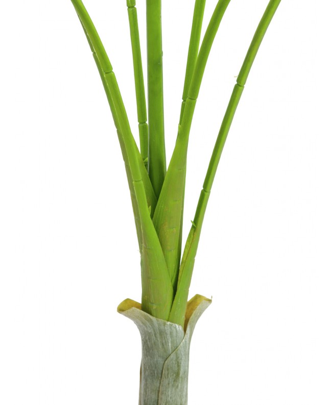 Europalms Areca deluxe, artificial plant, 180cm Fiori & piante