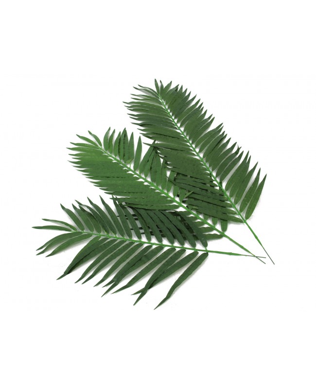 Europalms Coconut palm branch, artificial, 90cm 12x Flowers & Plants