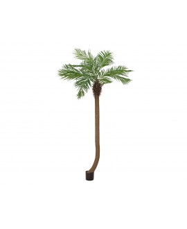 Europalms Phoenix palm tree luxor curved, artificial plant, 240cm Fiori & piante