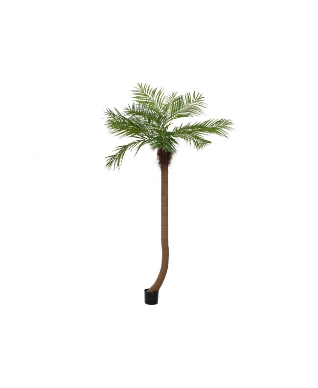 Europalms Phoenix palm tree luxor curved, artificial plant, 240cm Flowers & Plants