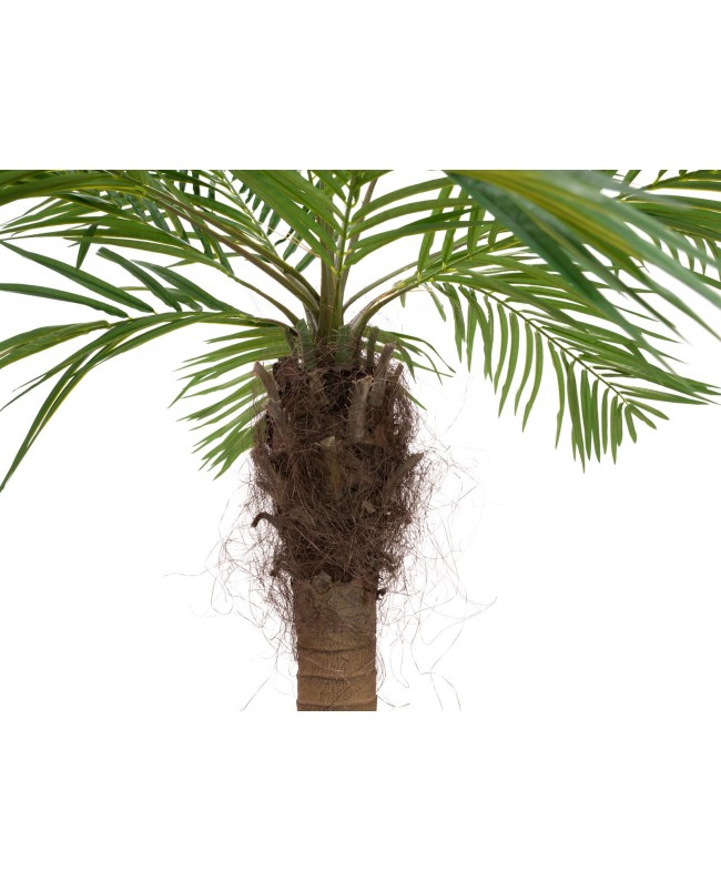 Europalms Phoenix palm tree luxor curved, artificial plant, 240cm Flowers & Plants