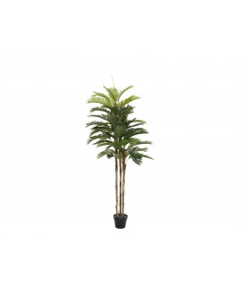 Europalms Kentia Palme, Kunstpflanze, 150cm Blumen & Pflanzen