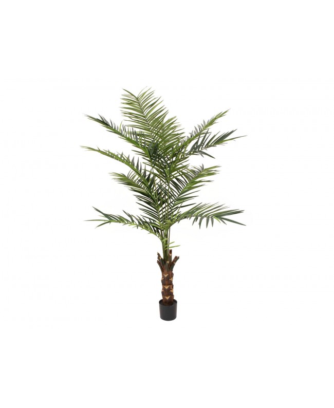 Europalms Kentia palm tree, artificial plant, 240cm Flowers & Plants