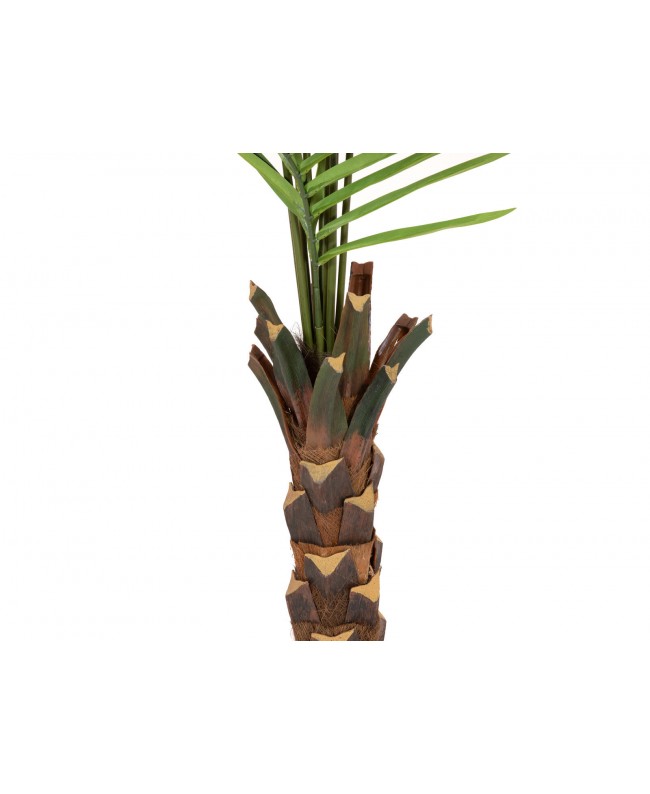 Europalms Kentia palm tree, artificial plant, 240cm Flowers & Plants