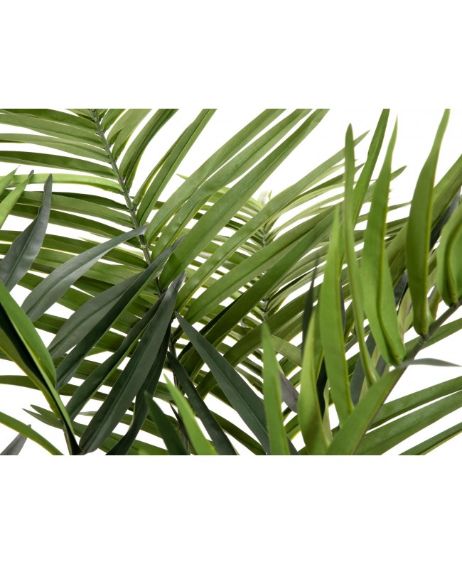 Europalms Kentia palm tree, artificial plant, 240cm Flowers & Plants