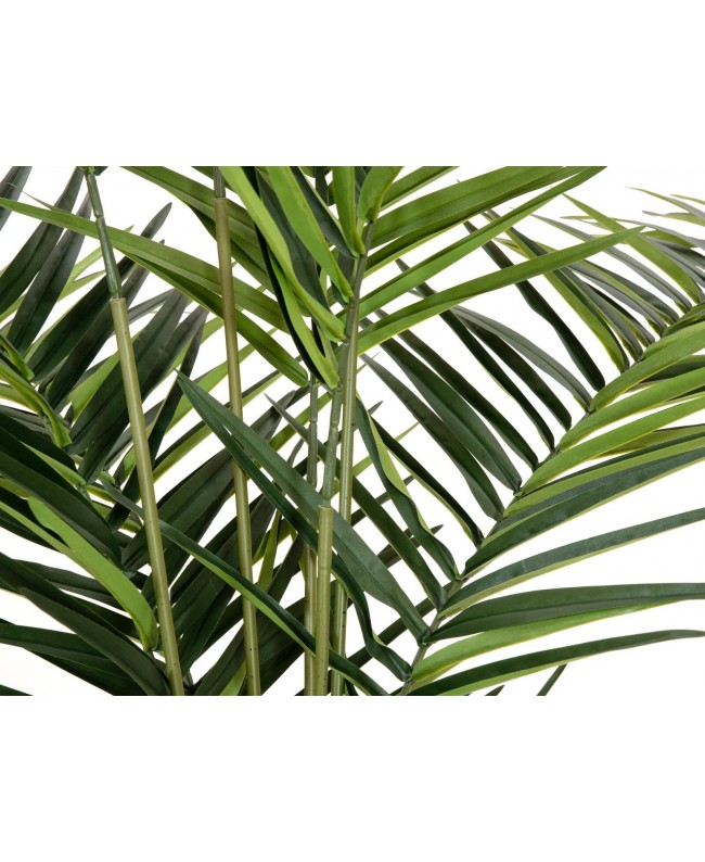 Europalms Kentia palm tree, artificial plant, 240cm Fiori & piante