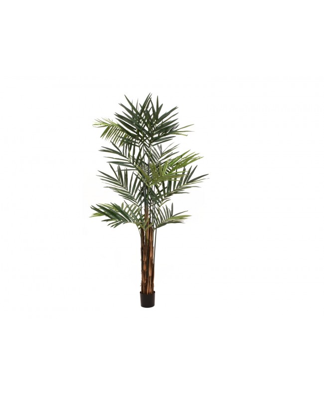 Europalms Kentia palm tree, artificial plant, 300cm Fiori & piante