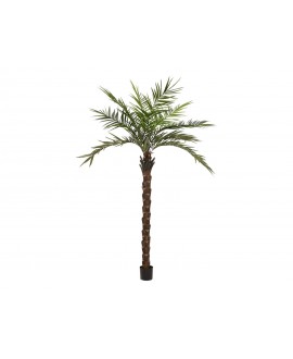 Europalms Kentia Palme deluxe, Kunstpflanze 300cm Blumen & Pflanzen