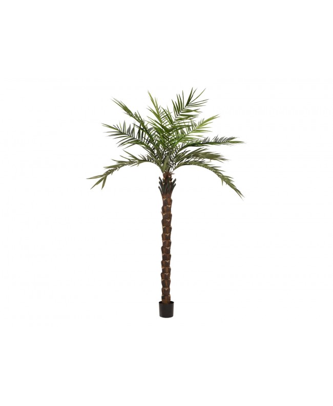 Europalms Kentia palm tree deluxe, artificial plant, 300cm Fiori & piante