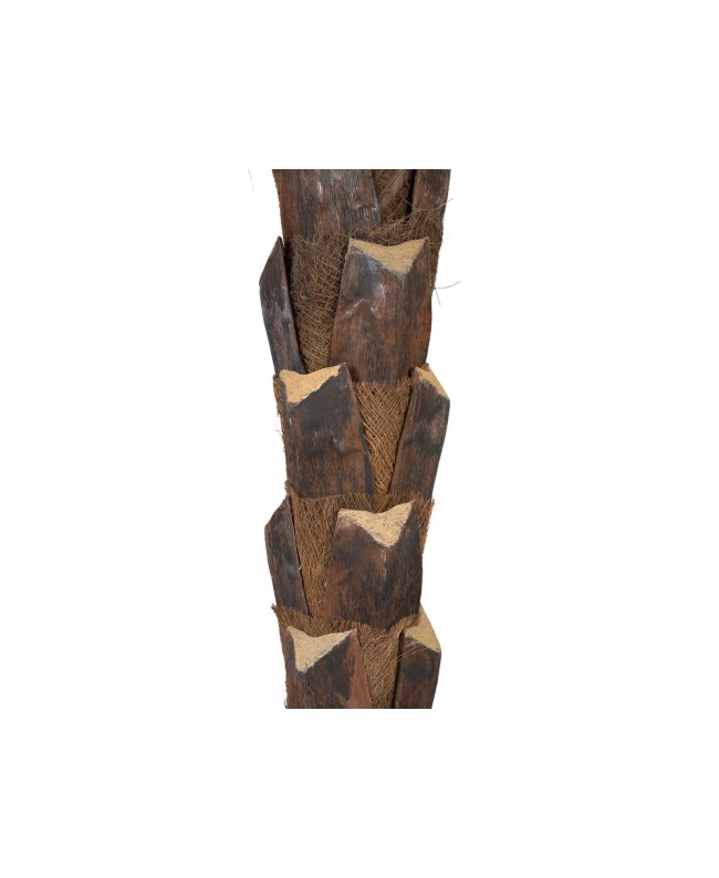 Europalms Kentia Palme deluxe, Kunstpflanze 300cm Blumen & Pflanzen