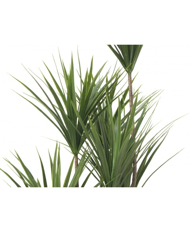 Europalms Yucca Palm Tree, artificial plant, 130cm Flowers & Plants