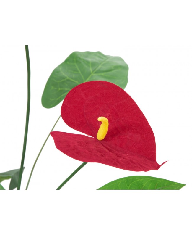 Europalms Anthurium, künstlich, 70cm Blumen & Pflanzen