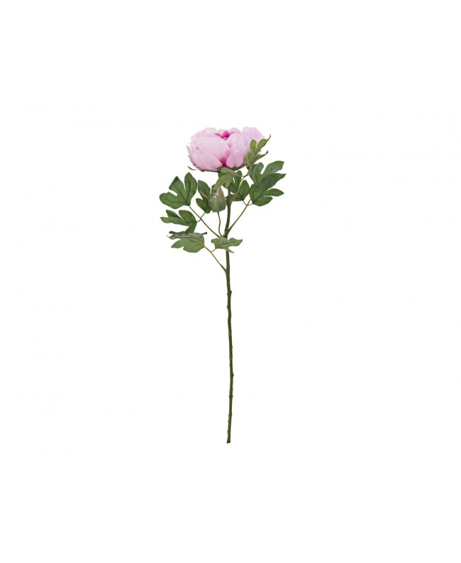 Europalms Peony Branch classic, artificial plant, pink, 80cm Flowers & Plants