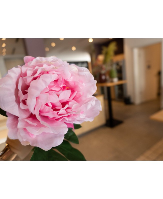 Europalms Peony Branch classic, artificial plant, pink, 80cm Flowers & Plants
