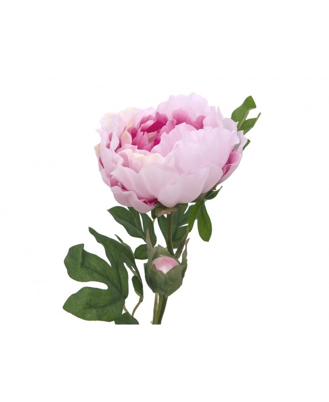 Europalms Peony Branch classic, artificial plant, pink, 80cm Flowers & Plants