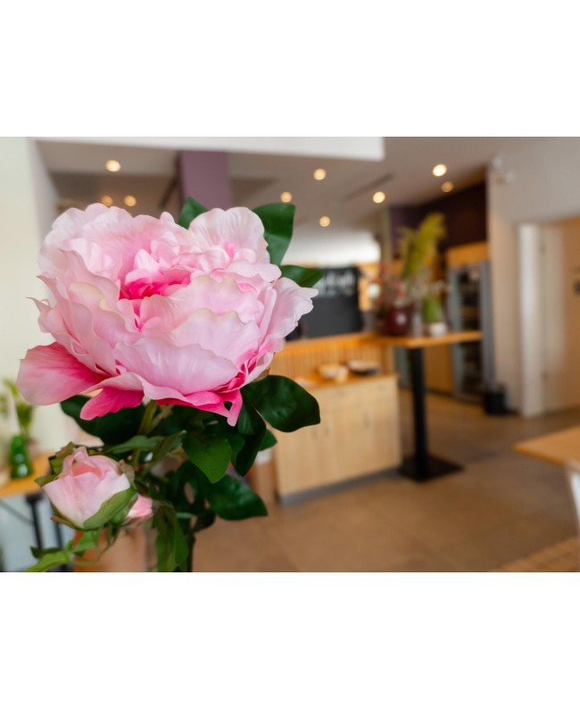 Europalms Peony Branch classic, artificial plant, pink, 80cm Fiori & piante